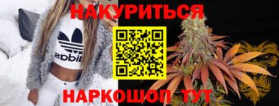 гидра Будённовск