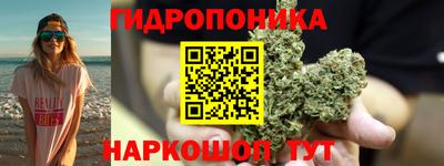 гидра Будённовск