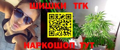 гидра Будённовск