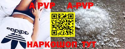 гидра Будённовск