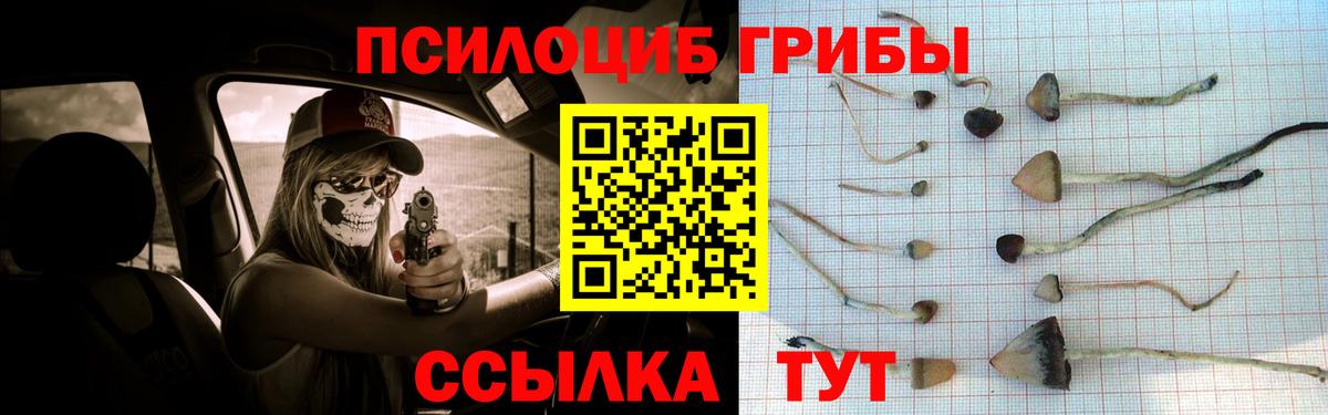 Псилоцибиновые грибы Cubensis Славянск-на-Кубани
